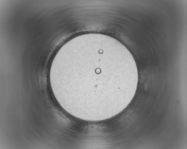 X0000054470632200508122004