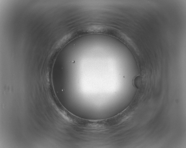 X0000054470633200508122004