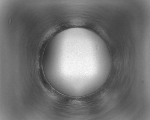 X0000054470635200508122004