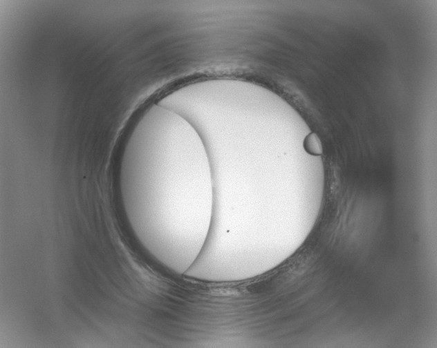 X0000054470636200508122004