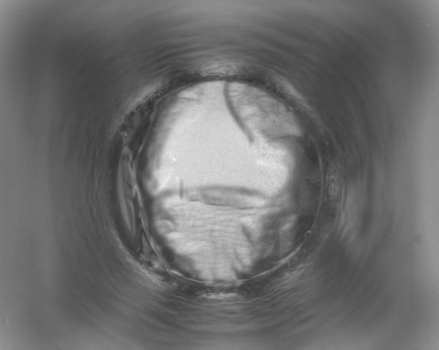 X0000054470637200508122004