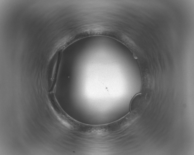 X0000054470638200508122004