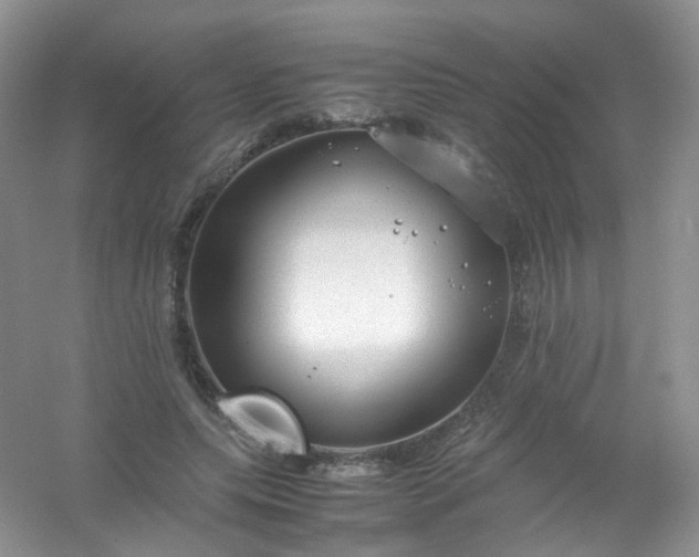 X0000054470639200508122004