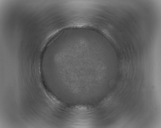 X0000054470640200508122004