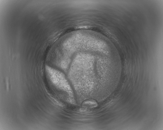 X0000054470641200508122004