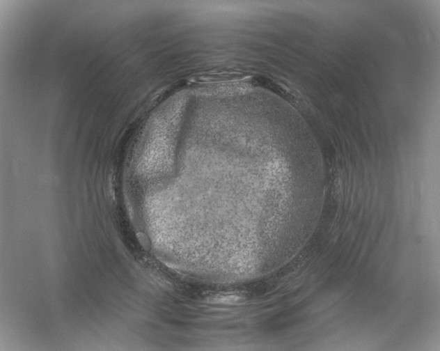 X0000054470643200508122004