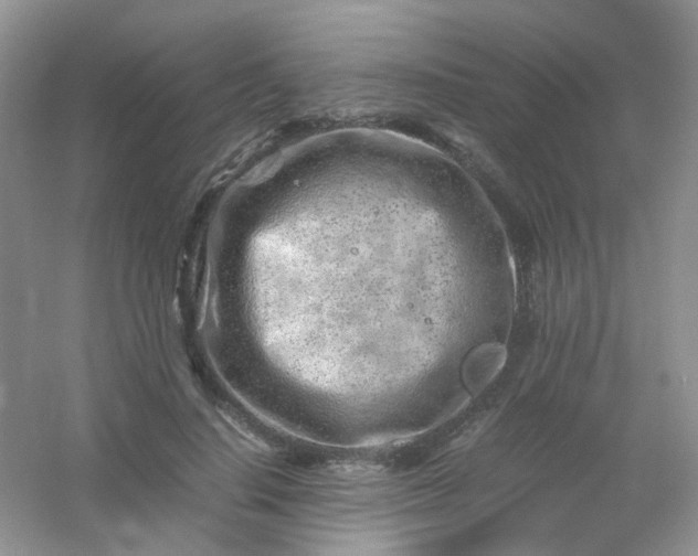 X0000054470644200508122004