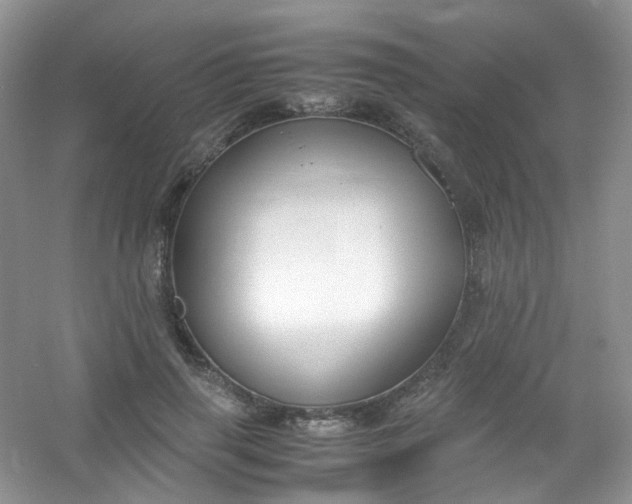 X0000054470645200508122004