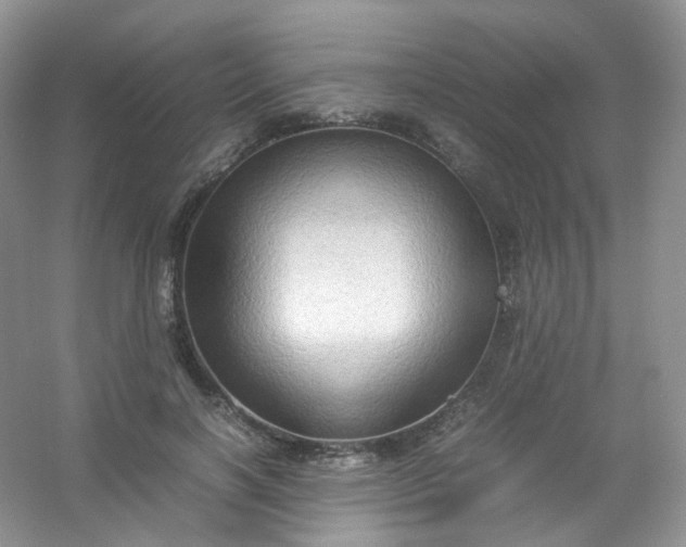 X0000054470646200508122004