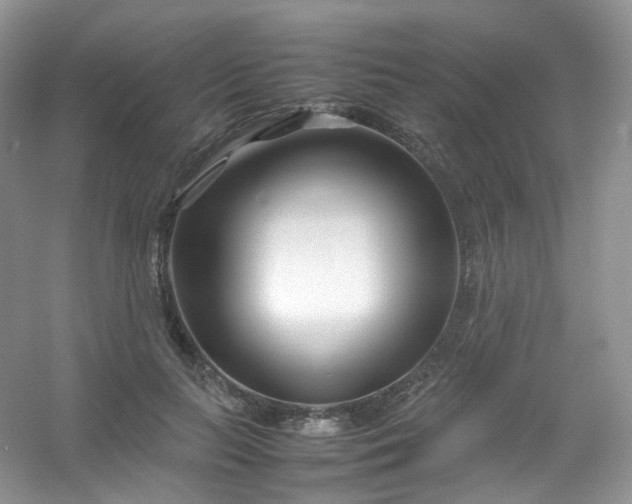 X0000054470647200508122004