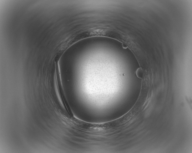 X0000054470649200508122004