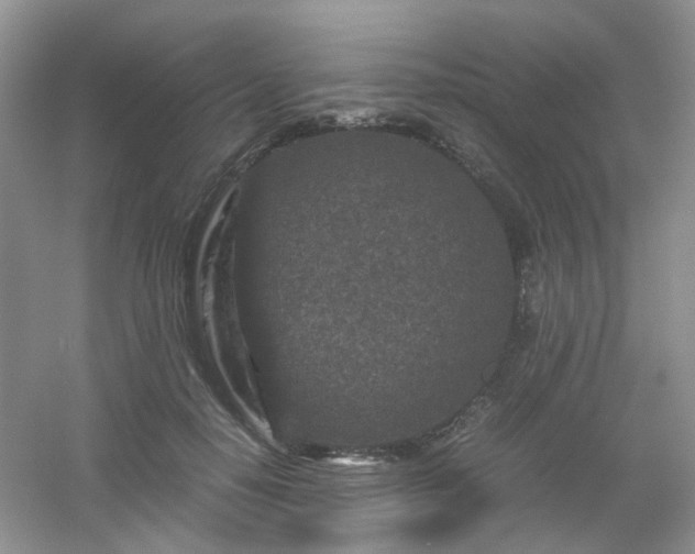 X0000054470650200508122004