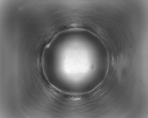 X0000054470651200508122004