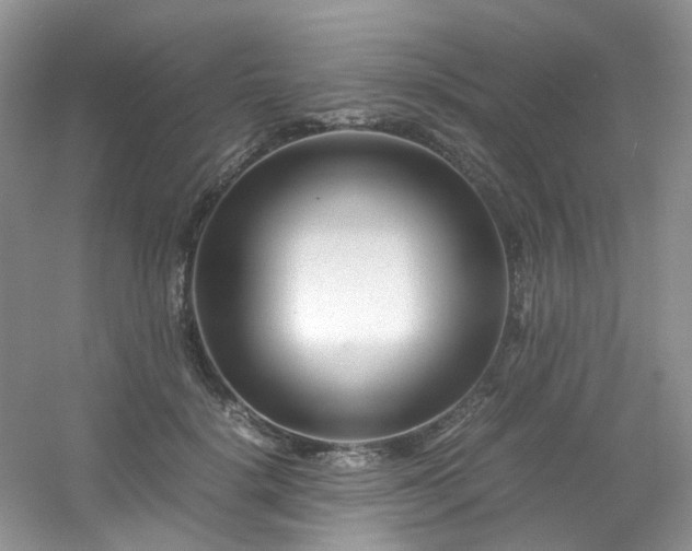 X0000054470652200508122005