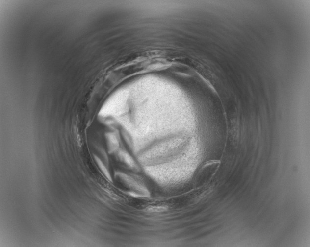 X0000054470653200508122005