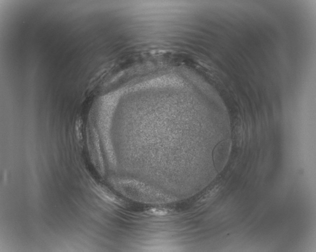 X0000054470654200508122005