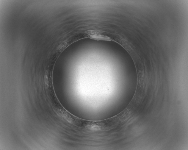 X0000054470655200508122005