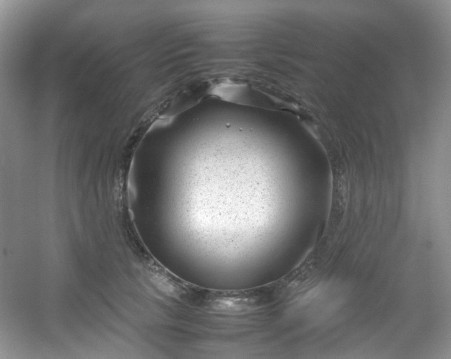 X0000054470657200508122005