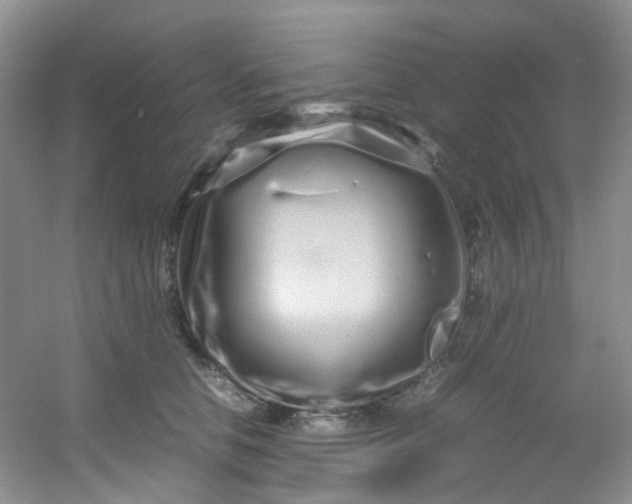 X0000054470658200508122005