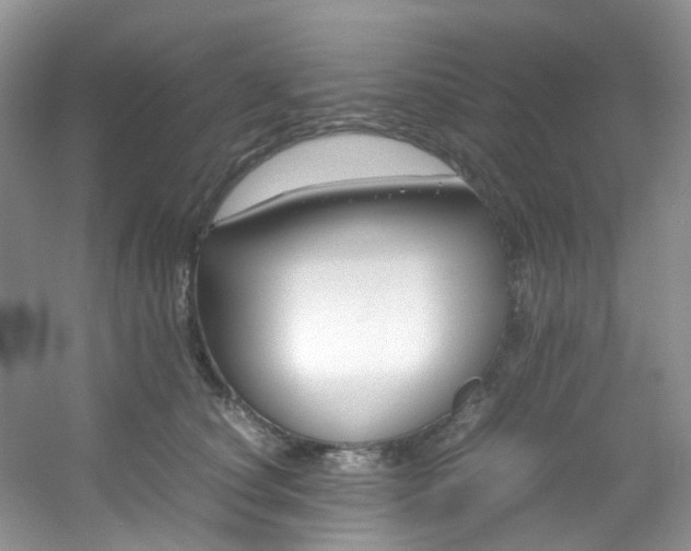 X0000054470660200508122005