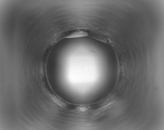 X0000054470662200508122005