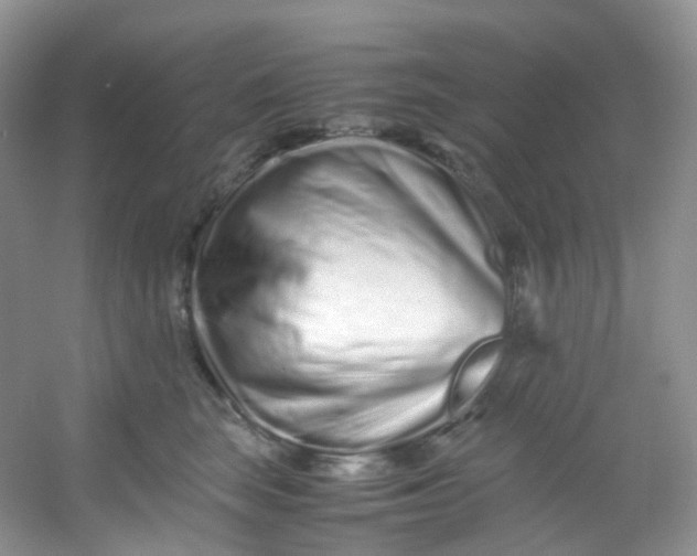 X0000054470663200508122005