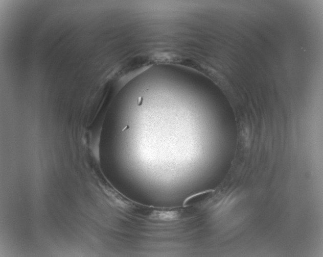 X0000054470665200508122005