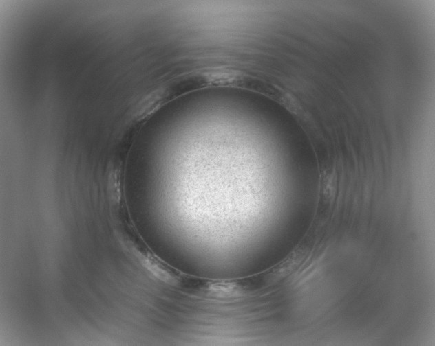 X0000054470666200508122005