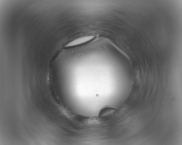 X0000054470668200508122005