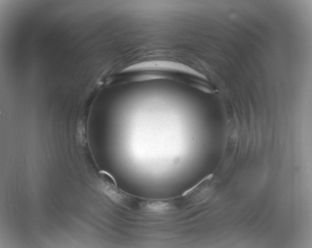 X0000054470669200508122005