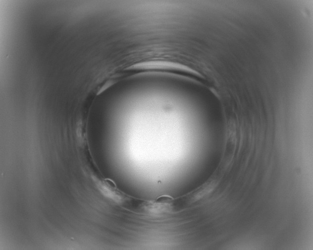 X0000054470670200508122005