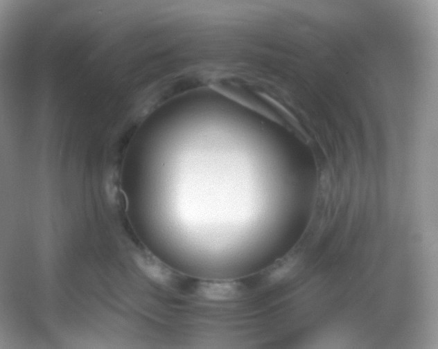 X0000054470671200508122005