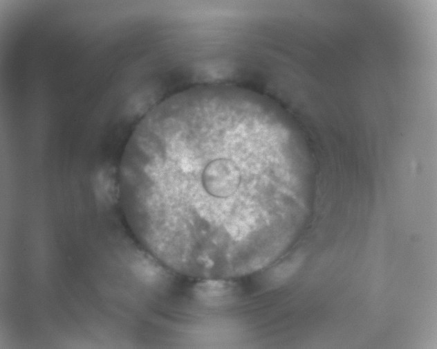 X0000054470672200508122005