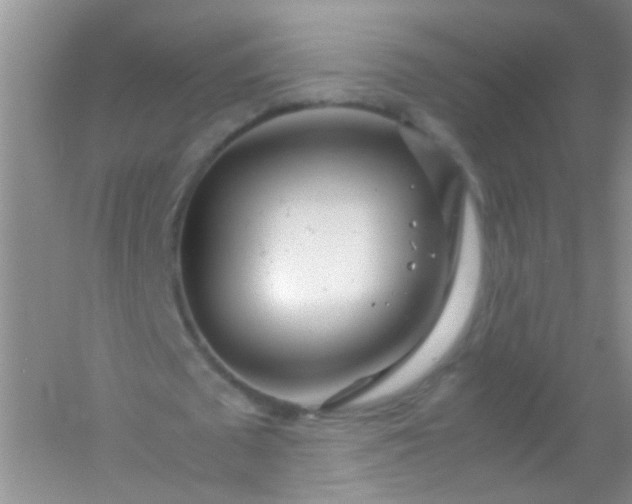 X0000054470673200508122004