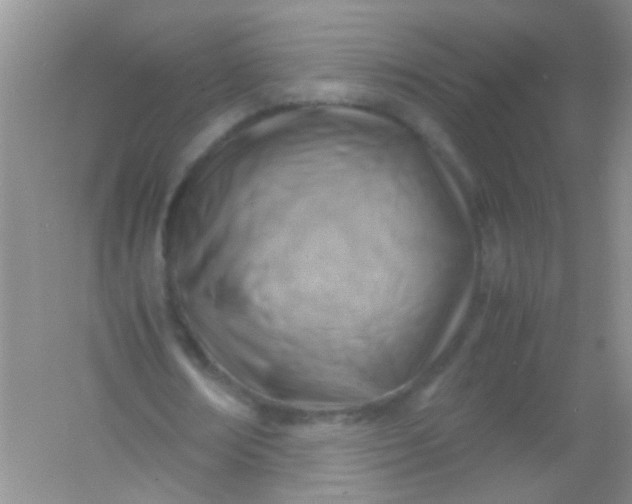 X0000054470674200508122004