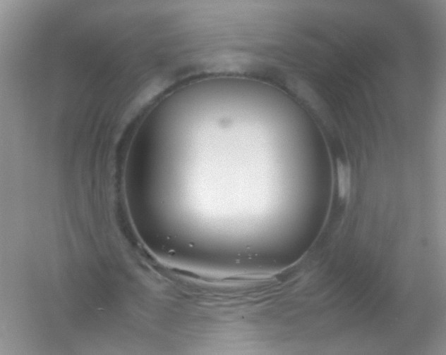 X0000054470675200508122004