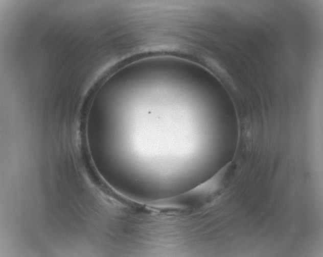 X0000054470676200508122004