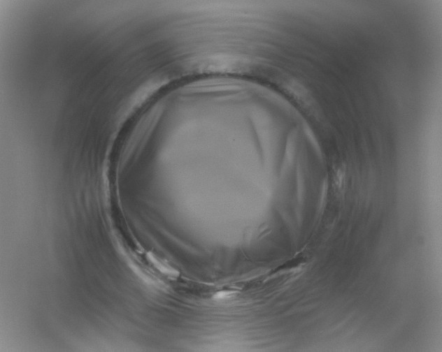 X0000054470678200508122004