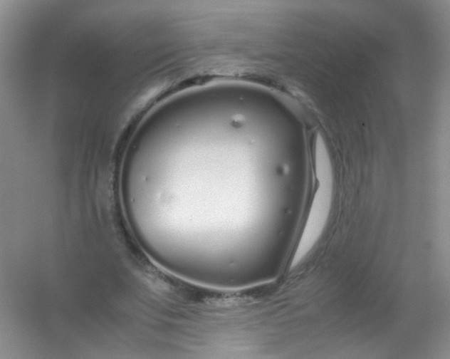 X0000054470679200508122004