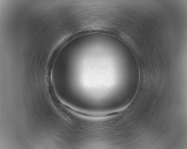 X0000054470680200508122004