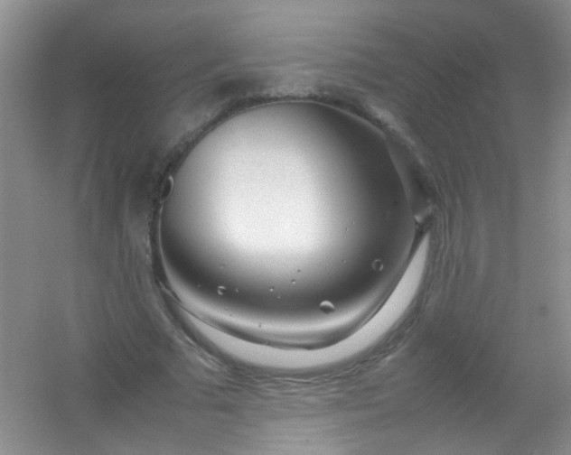 X0000054470681200508122004