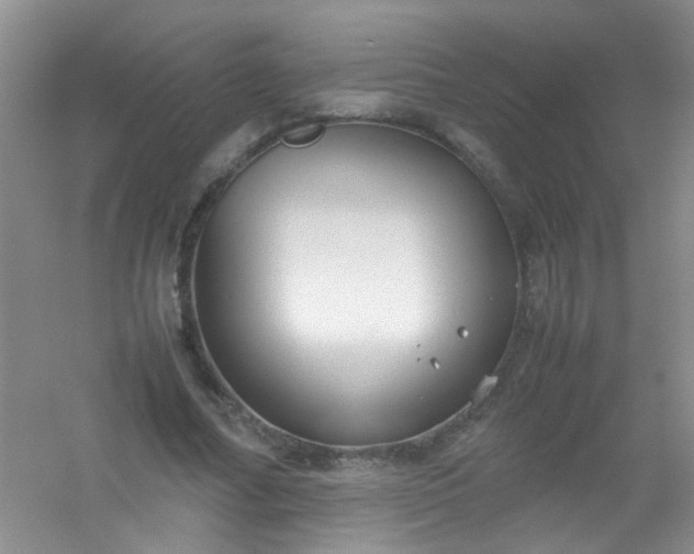 X0000054470682200508122004