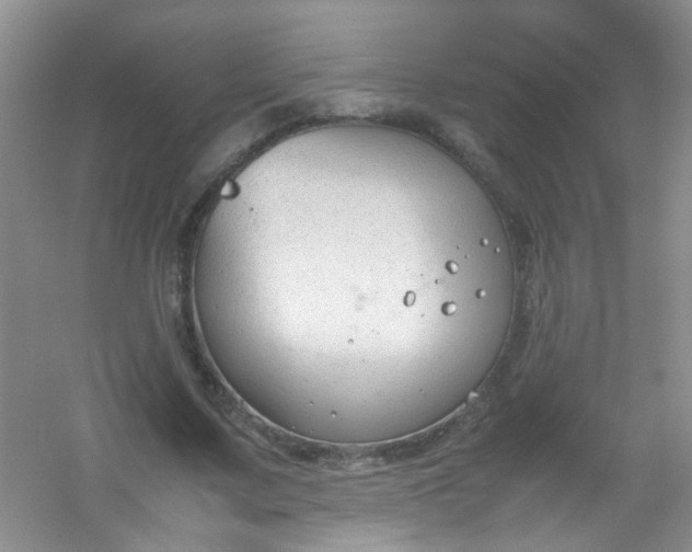 X0000054470683200508122004