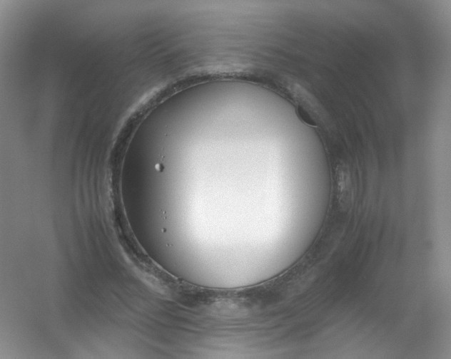 X0000054470684200508122004