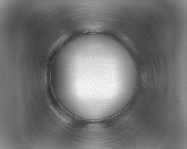 X0000054470686200508122004