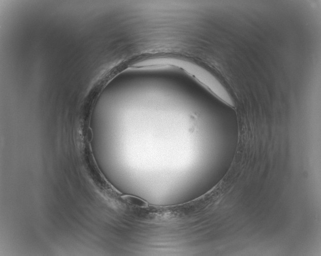 X0000054470688200508122004