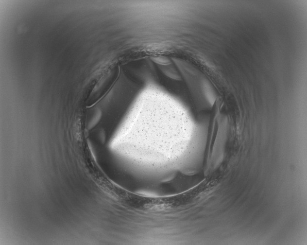 X0000054470689200508122004