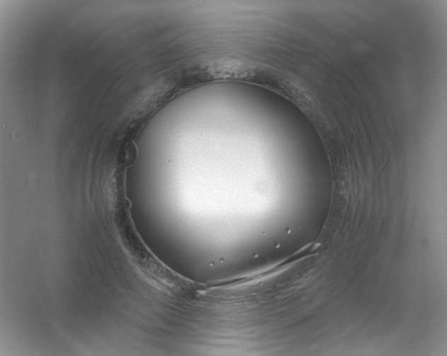 X0000054470690200508122004