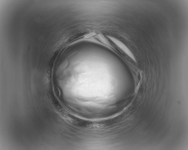 X0000054470691200508122004