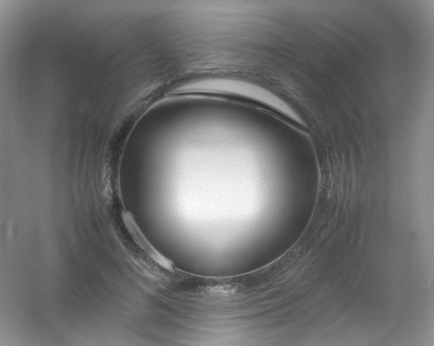 X0000054470692200508122004